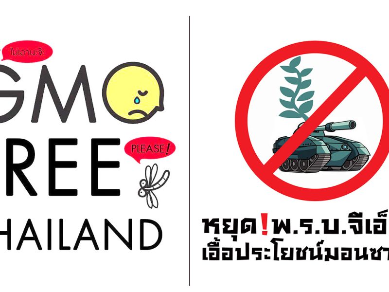 ร่างกฎหมาย GMO เปิดช่องผู้ประกอบการไม่ต้องรับผิด อ้าง “เหตุสุดวิสัย”