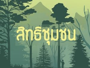 สรุปร่างรัฐธรรมนูญ: ตัด ‘สิทธิในสิ่งแวดล้อมที่ดี’ โบกมือลาองค์การอิสระด้านสิ่งแวดล้อม