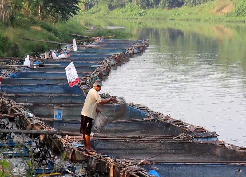 พ.ร.บ.เดินเรือฯ แก้ปัญหาแม่น้ำลำคลองแบบถอยหลัง “ลงคลอง”