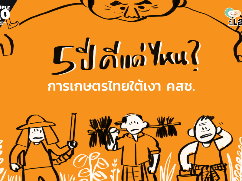 ภาคการเกษตรไทยในเงา คสช.