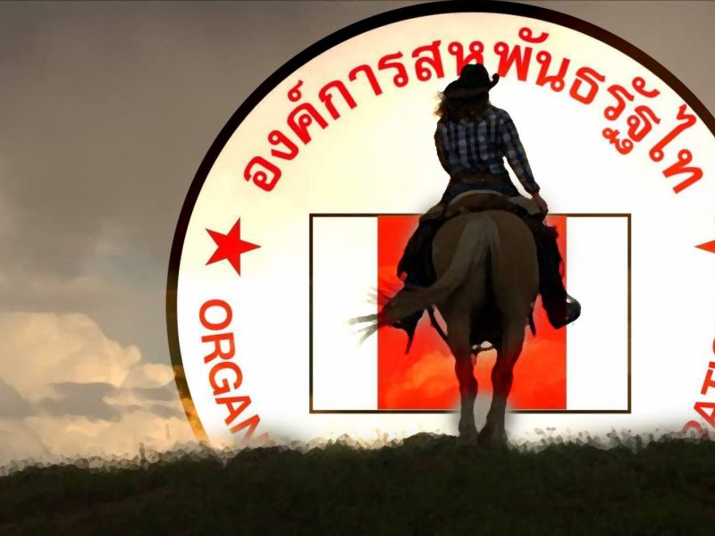 แนวคิด ‘สหพันธรัฐไท’ ที่มาของ 6 คดีร้ายแรง จำเลย 17 คน คนหาย 4 คน