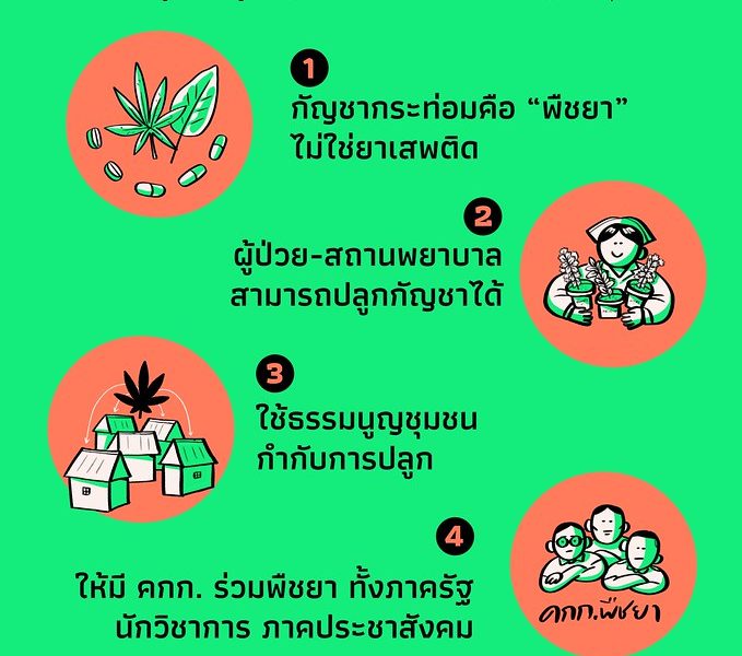 ร่าง พ.ร.บ.พืชยาฯ (ฉบับประชาชน) ให้สิทธิผู้ป่วยปลูกกัญชาได้ภายใต้กำกับของรัฐและชุมชน